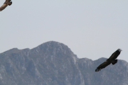 07_2015_sotorrana_alles_parque_030