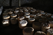 07_2015_sotorrana_alles_quesos_005