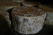 07_2015_sotorrana_alles_quesos_008