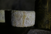 07_2015_sotorrana_alles_quesos_016
