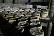 07_2015_sotorrana_alles_quesos_017