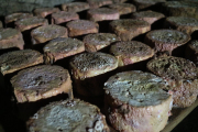 07_2015_sotorrana_alles_quesos_019