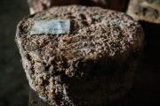 07_2015_sotorrana_alles_quesos_020