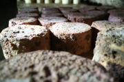 07_2015_sotorrana_alles_quesos_021