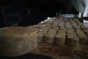 07_2015_sotorrana_alles_quesos_024