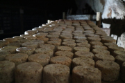 07_2015_sotorrana_alles_quesos_026