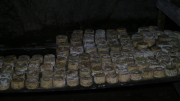 07_2015_sotorrana_alles_quesos_029