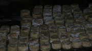 07_2015_sotorrana_alles_quesos_030
