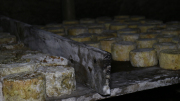 07_2015_sotorrana_alles_quesos_032