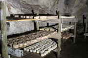 07_2015_sotorrana_alles_quesos_040