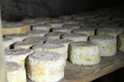 07_2015_sotorrana_alles_quesos_043
