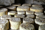 07_2015_sotorrana_alles_quesos_045