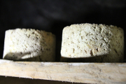 07_2015_sotorrana_alles_quesos_047