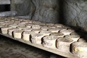 07_2015_sotorrana_alles_quesos_048