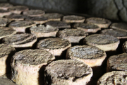 07_2015_sotorrana_alles_quesos_049