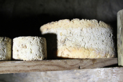 07_2015_sotorrana_alles_quesos_055