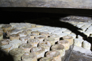 07_2015_sotorrana_alles_quesos_066