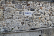 2016_09_vendimia_pum_011