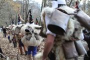 2015_01_vijanera_2014_008