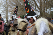 2015_01_vijanera_2014_032