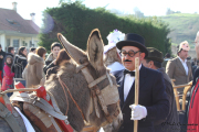 2015_01_vijanera_2014_041