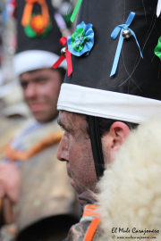 2015_01_vijanera_2014_066