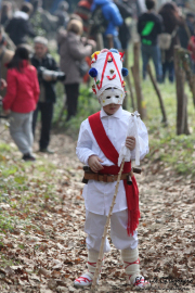2015_01_vijanera_2014_069