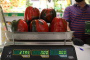 2020_09_islagalo_1600_004