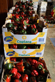 2020_09_islagalo_1600_005