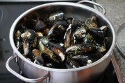 2021_04_mejillones_esca_004