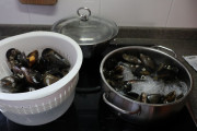 2021_04_mejillones_esca_007