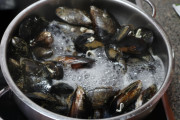 2021_04_mejillones_esca_008