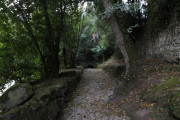 2019_10_otovapas_mulecarajonero_010