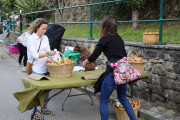 2019_10_otovapas_mulecarajonero_015