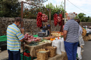2019_10_otovapas_mulecarajonero_020