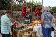 2019_10_otovapas_mulecarajonero_021