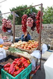 2019_10_otovapas_mulecarajonero_022