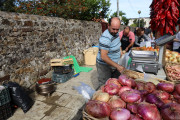 2019_10_otovapas_mulecarajonero_065