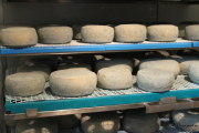 09_2015_queseria_el_bardal_018