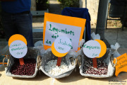 2017_10_lierganes_068