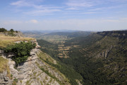 08_2026_nervion_022