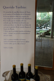 2019_09_optimun_038_mulecarajonero