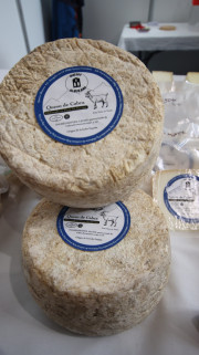 2025_12_producto_santander_164