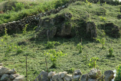 2018_08_matoblanco_004
