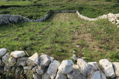 2018_08_matoblanco_048