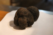 2024_05_gall_pucherua_005