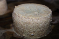 2019_09_andueo_corvera_025_mulecarajonero