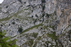 2019_09_nozaluca_corvera_024_mulecarajonero