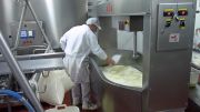 elaborando_sto_andre_016