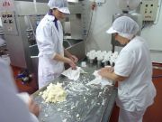 elaborando_sto_andre_023